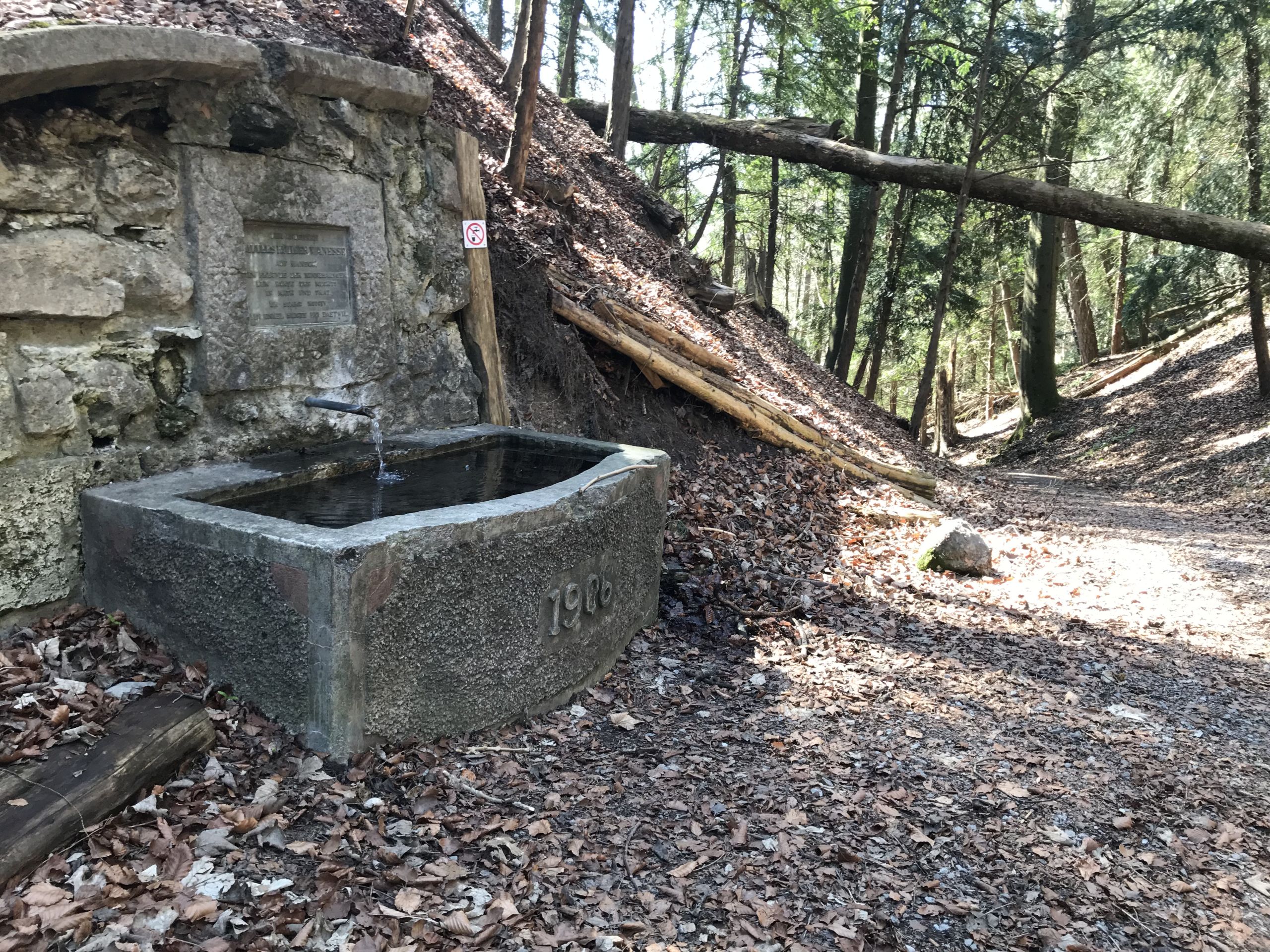 Der Manessebrunnen heute