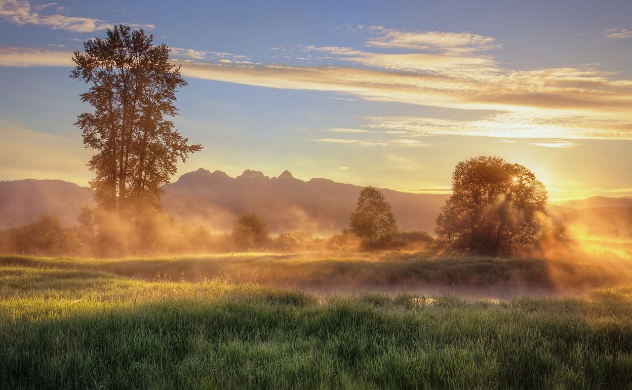 https://pixabay.com/de/photos/natur-nebel-reisen-neblig-dunst-3787200/