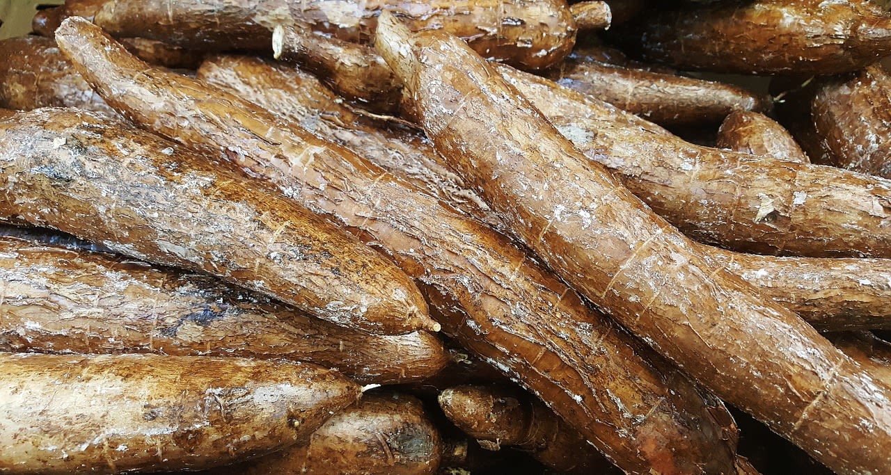 https://pixabay.com/de/photos/maniok-wurzel-knolle-lebensmittel-285033/